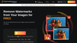 A screenshot of WatermarkRemover.io website showing a sample image with a watermark and the tools available to remove it.