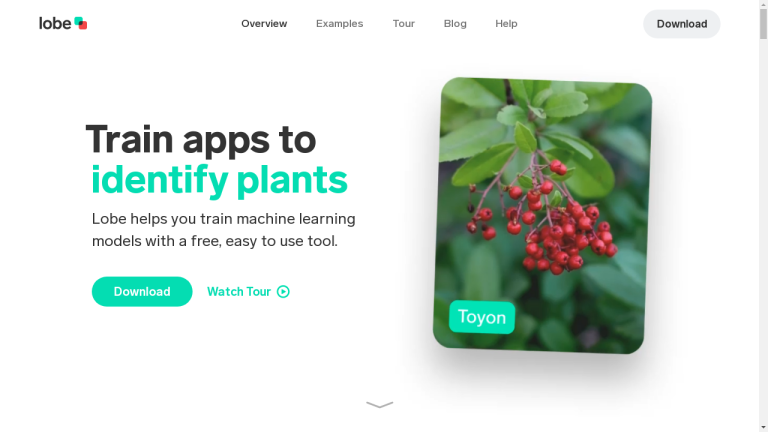 A description of Lobe, a machine learning tool created by Microsoft. It is a user-friendly app that simplifies the process of training custom machine learning models. Lobe offers a variety of project templates, no coding experience is required, and it has easy exporting options.