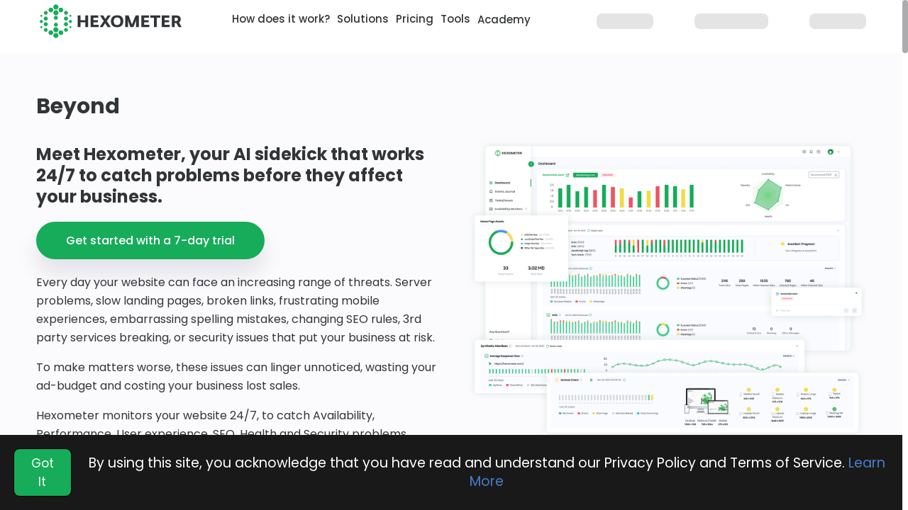 "Hexometer Hygiene Attendant Dashboard - Monitoring and optimization for your website's health and performance"